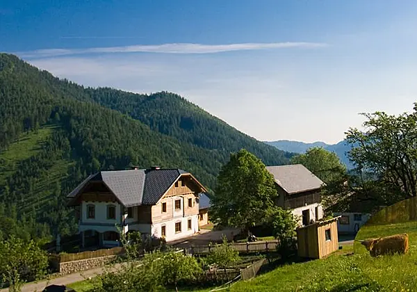 Biobauernhof Lacken