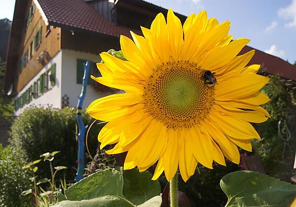 Natur mit allen Sinnen