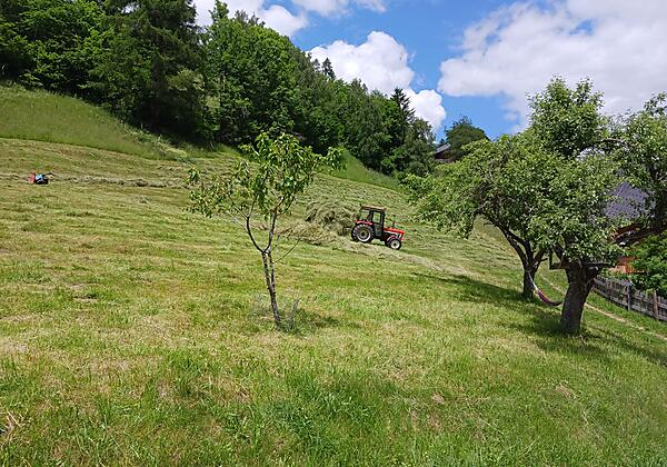 Feldarbeit im Sommer