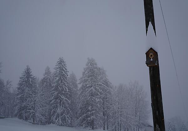 62CB68DD-BE4E-4260-83A5-A00DFAF41C94