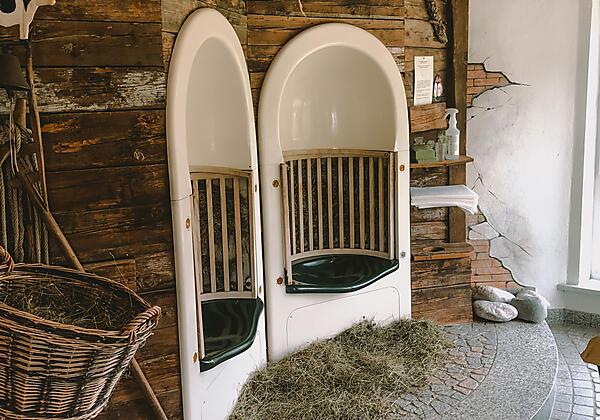 Spa Bereich mit Kraxenofen