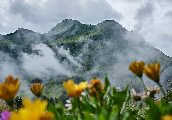 Zimmerausblick