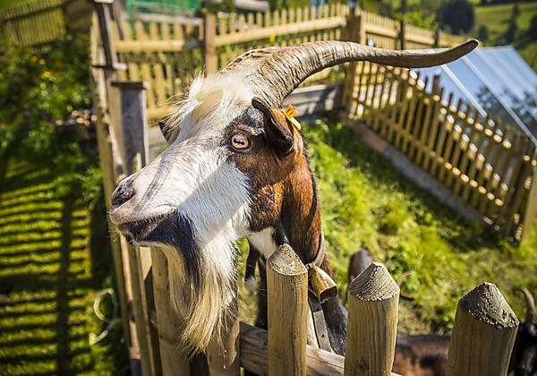 Besuch an der  Gästeterrasse
