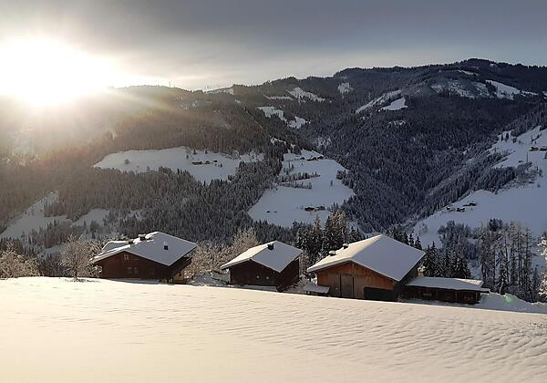 Bergbauernhof Brandgut (2)