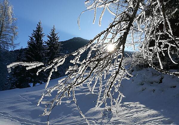 Winterwunderland in Walchsee