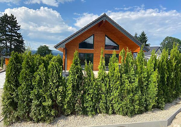 ac83830d-ab42-4fe0-adf2-3a159999c0b2