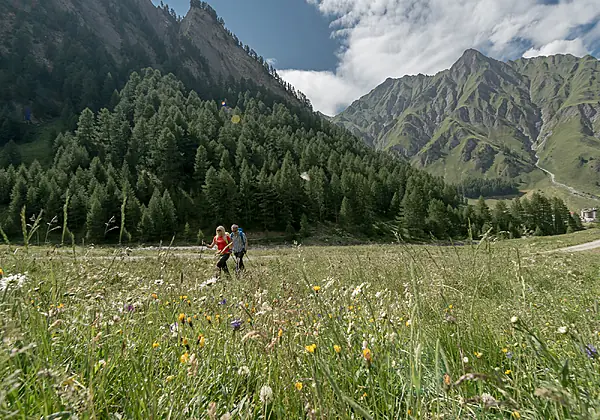 Wandern