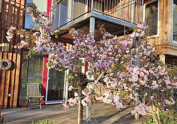 4e618350-040a-4176-a964-e10d6b5e0793