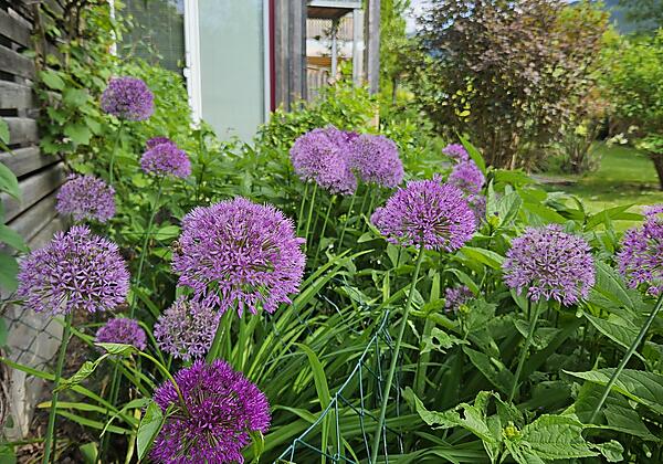 c774a93c-64ce-44b5-bc8d-d2795e8f539d