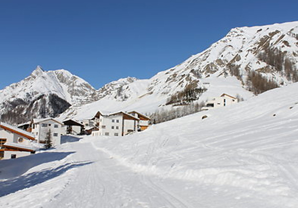 13446_Chasa Adriana_SH