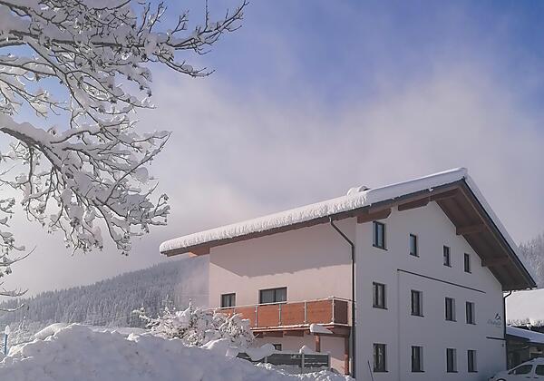 Herrlicher Wintertag