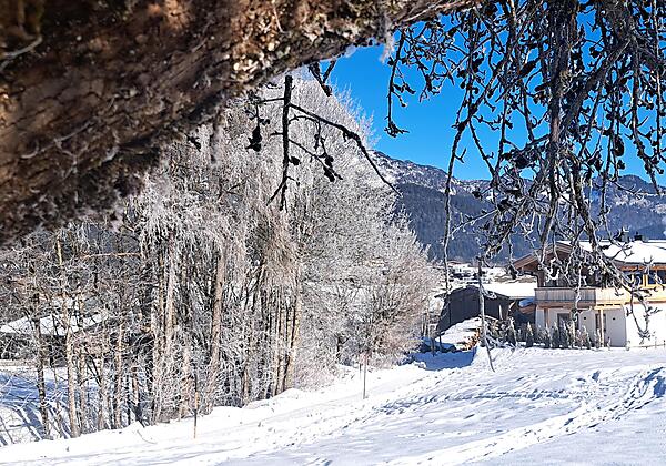Chalet_Das_Kaiserwohl_Lanzenweg_53_Going_Wohnraum_