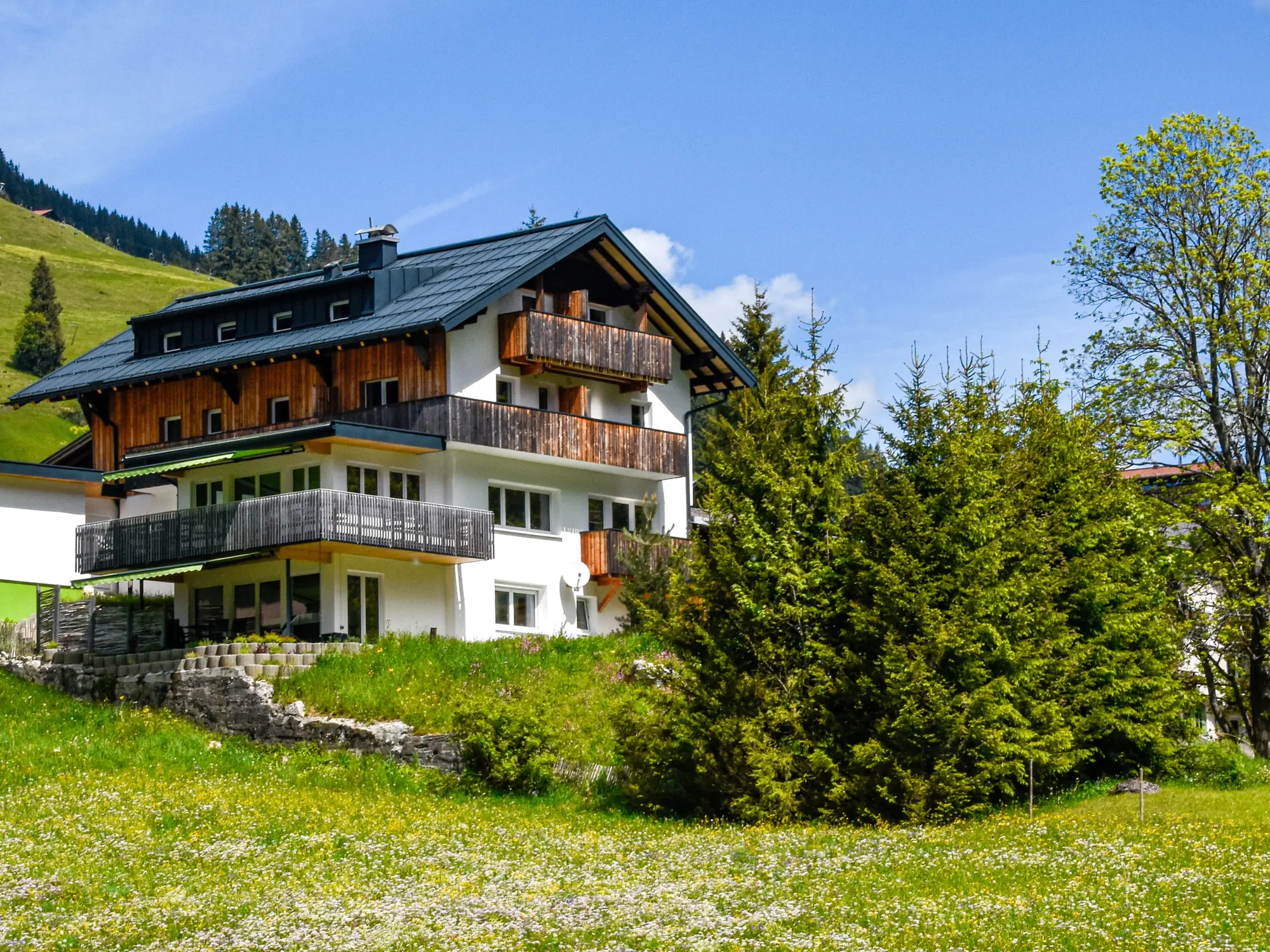 DAS KLEEMANNs