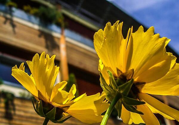 LRM_EXPORT_20160828_124107