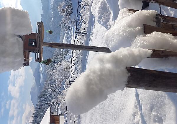 Wir lieben den Winter