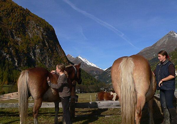 Sira und Lucky genießen die Streicheleinheiten