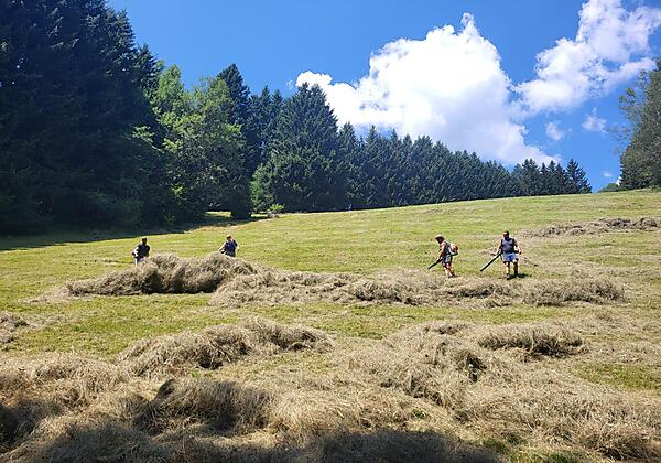IMG-20240727-WA0106