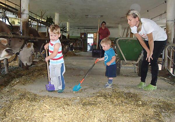 Mithilfe bei der Stallarbeit