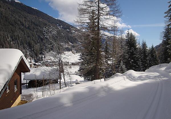 Langlaufloipe mit Bungalow