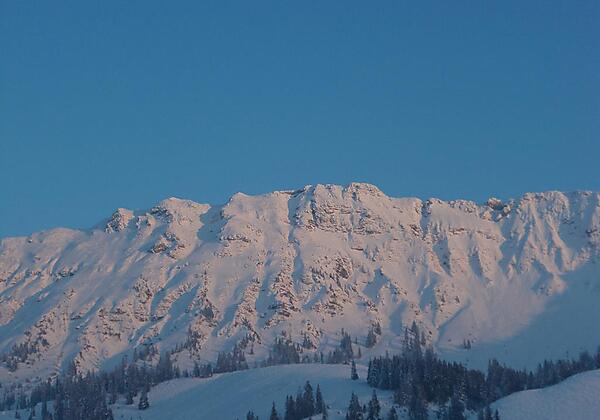 Ausblick von allen Wohnungen