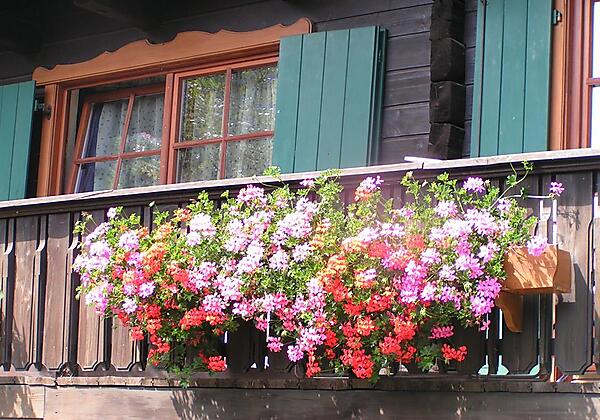 Bauernhof mit Blumenschmuck