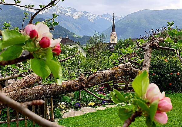 Eigener Garten - Das Försterhaus
