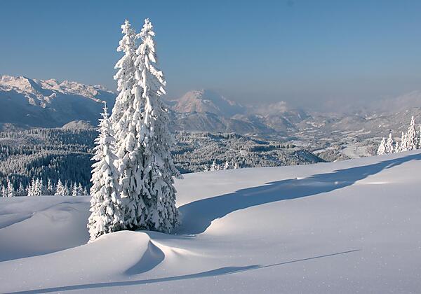 Edtalm Dachstien West