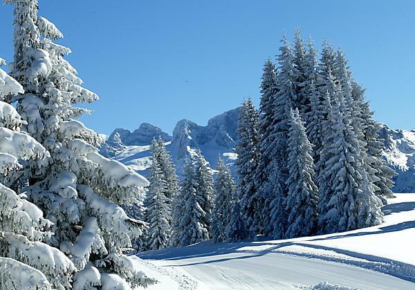 Skiregion Dachstein West