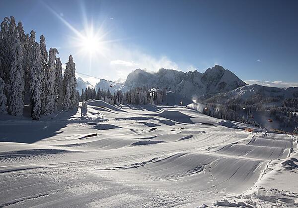Edtalm mit Gosaukamm