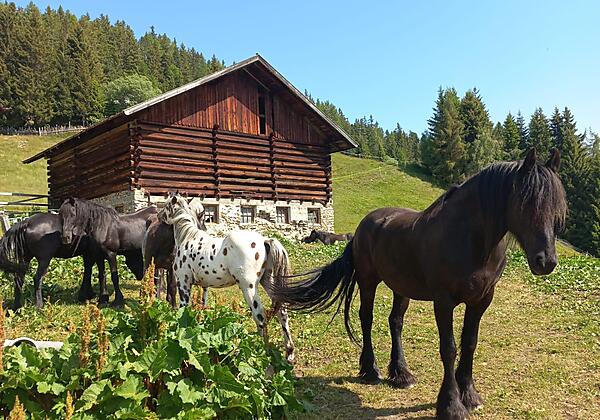 PHOTO-2025-03-15-15-09-11 (002) Landschaft 1