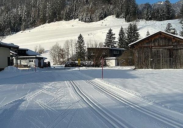 Bild5