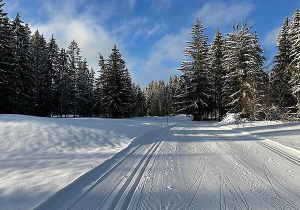 Bild3