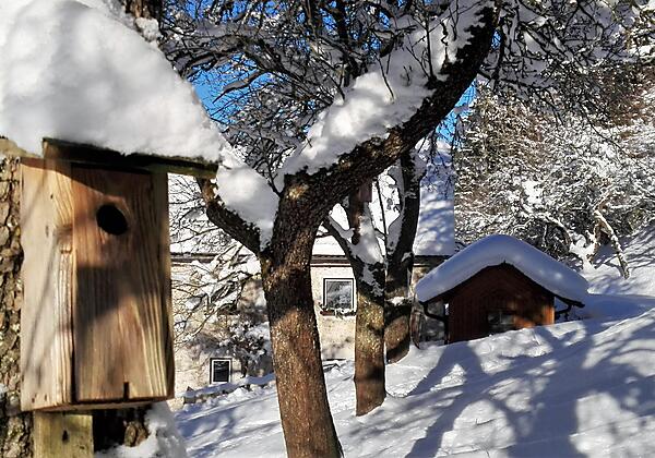 IMG_20170121_093123 NEU