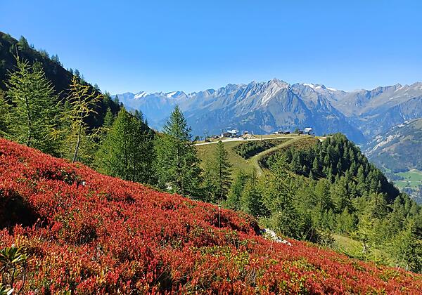 IMG-20231206-WA0021[1]