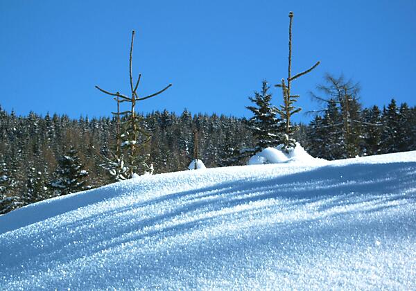 Ferienhaus Stubaiblick Winterlandschaft