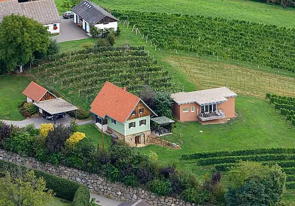 Ferienhäuser im Weingarten
