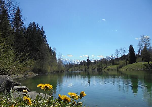 Frühling_am_Auwaldsee_in_Fischen_im_Allgäu
