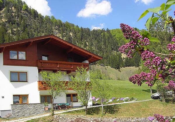 Appartementhaus Auerhof  Walchsee Sommer