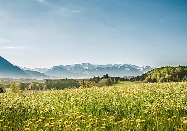 Natur pur um Haus und Hof