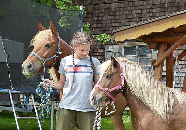 Ferienhof Endreß Goldi und Bob unsere Ponys