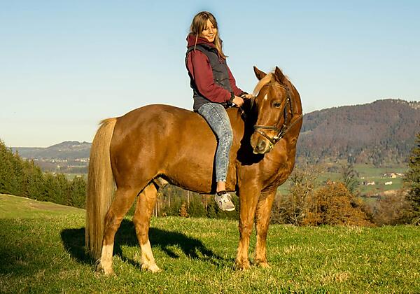 Ferienhof Endreß Ponyreiten