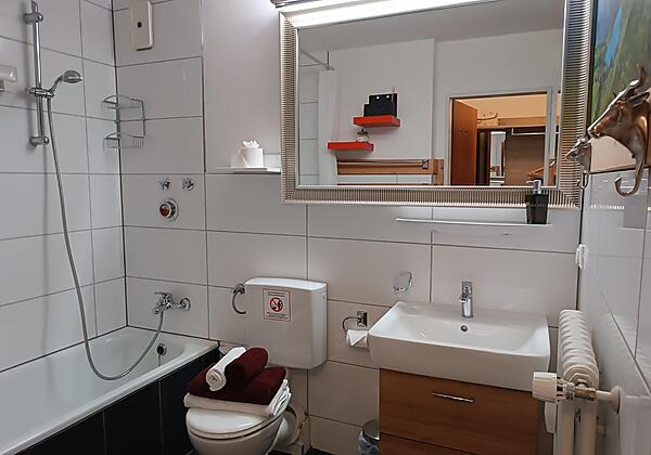 FeWo Alpenglühen-Waibel FeWo2024 (9)