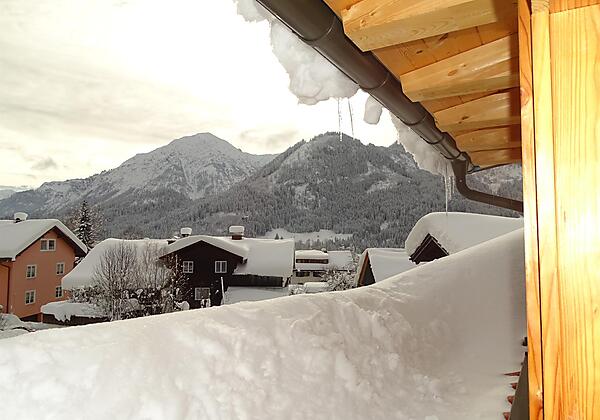 Blick Imberger Horn