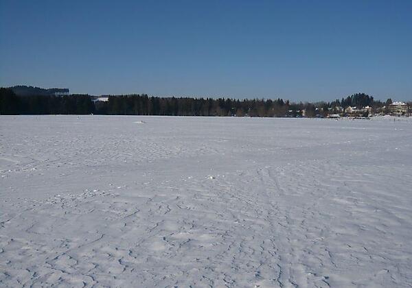 Blick in die Natur 3