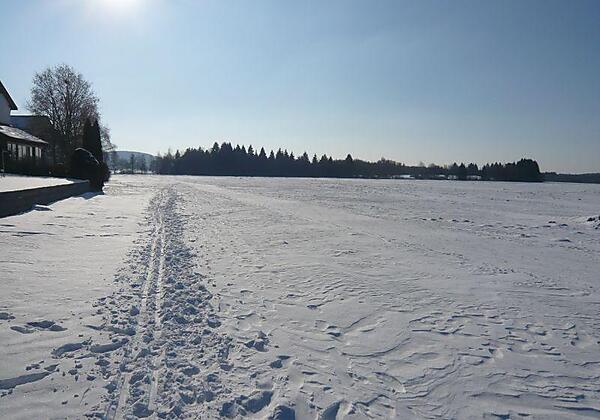 Blick in die Natur 1