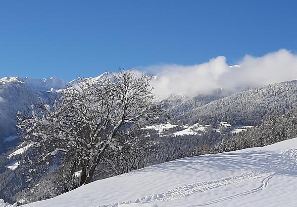 Umgebung Flattachberg