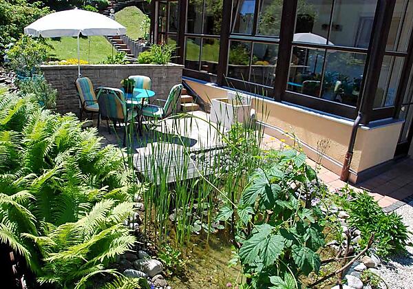 Grünes Leben in unserem Garten