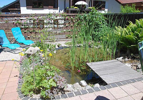 Der Gartenteich mit Liegen