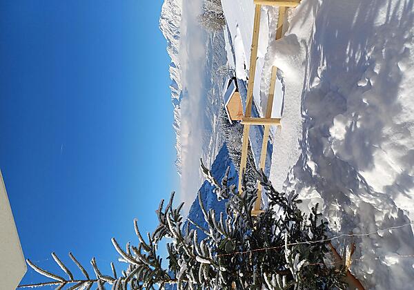Ausblick von der Terrasse