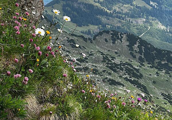 Bergimpressionen am Nebelhorn